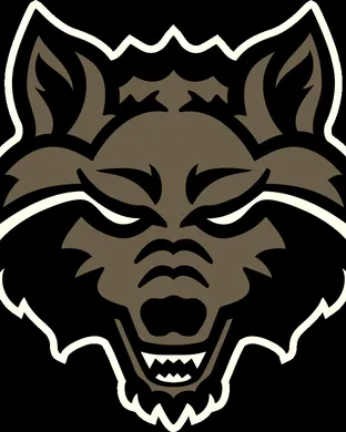 Arkansas State Red Wolves Conway
