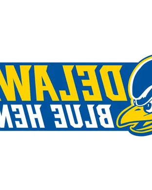 Delaware Blue Hens Newark