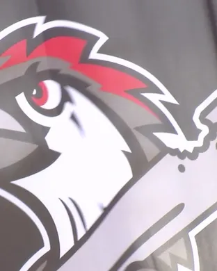 Fayetteville Woodpeckers Myrtle Beach
