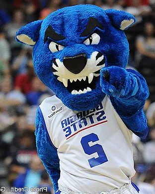 Georgia State Panthers Conway
